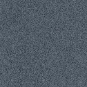 8195_26_additional image_new.jpg image